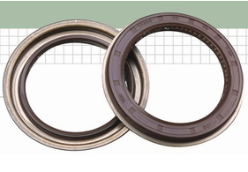 特殊工況曲軸后油封總成